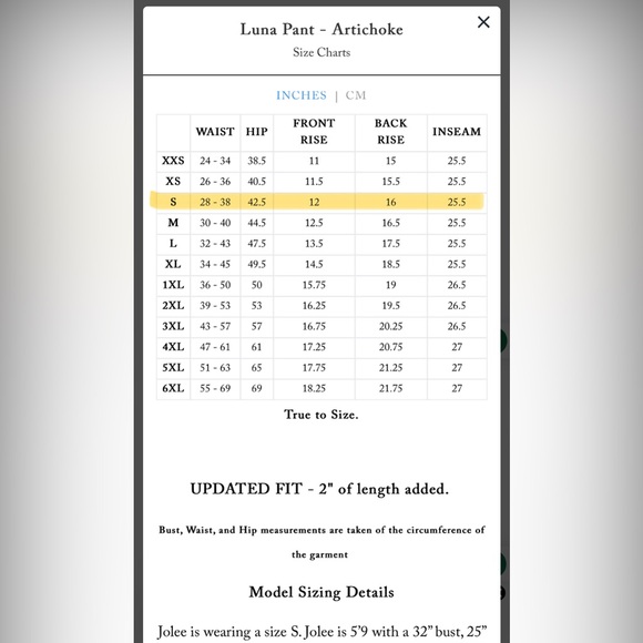WRAY Luna Pant in Artichoke - Picture 6 of 7
